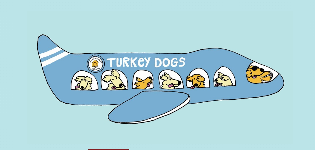 turkey dogs
