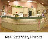 Neel Veterinary Hospital