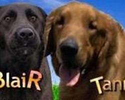 Tanner & Blair Find Their “Furever” Home